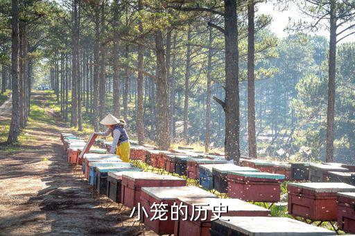  小籠的歷史