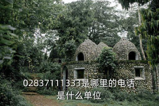 02837111333是哪里的電話是什么單位