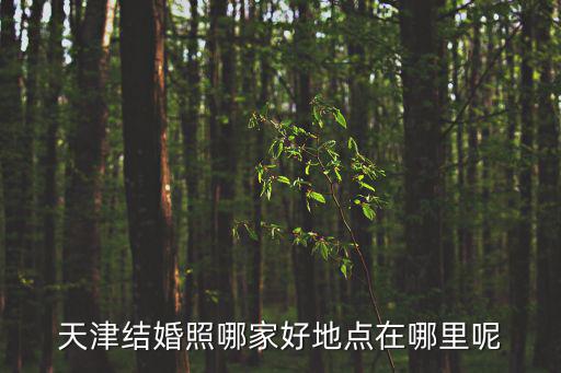 天津市博明，天津名門廣場的開發商是誰呀