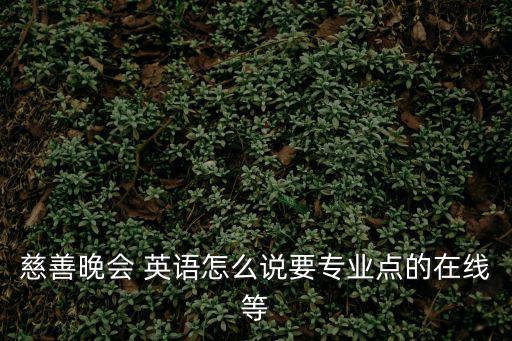 慈善晚會 英語怎么說要專業點的在線等