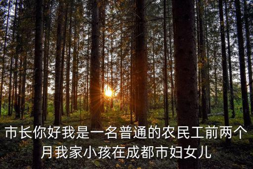 市長你好我是一名普通的農(nóng)民工前兩個月我家小孩在成都市婦女兒