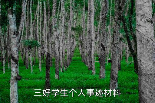 三好學(xué)生個(gè)人事跡材料
