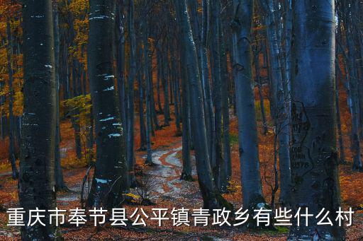重慶市奉節縣公平鎮青正中心校，重慶市奉節縣青蓮中學在什么地方校長是誰