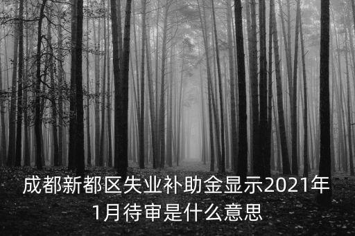 成都新都區失業補助金顯示2021年1月待審是什么意思