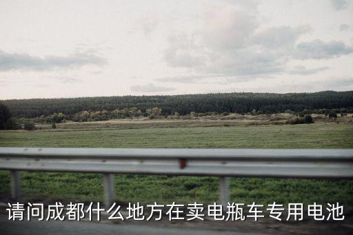 請問成都什么地方在賣電瓶車專用電池