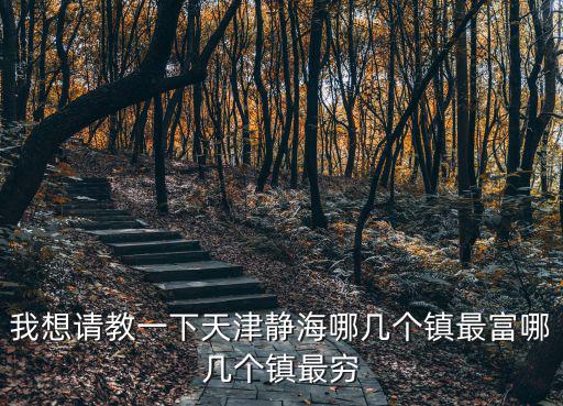 我想請教一下天津靜海哪幾個鎮最富哪幾個鎮最窮