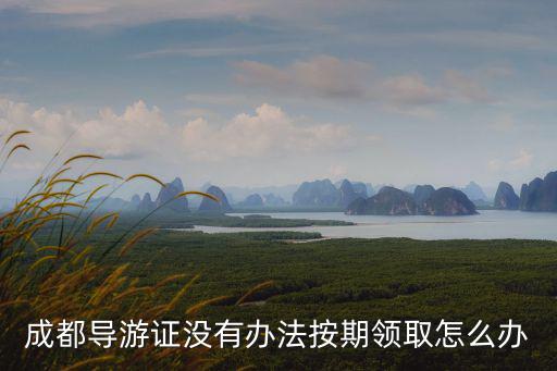 成都市導游識別卡領取，成都導游證沒有辦法按期領取怎么辦