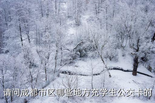 請問成都市區(qū)哪些地方充學(xué)生公交卡的