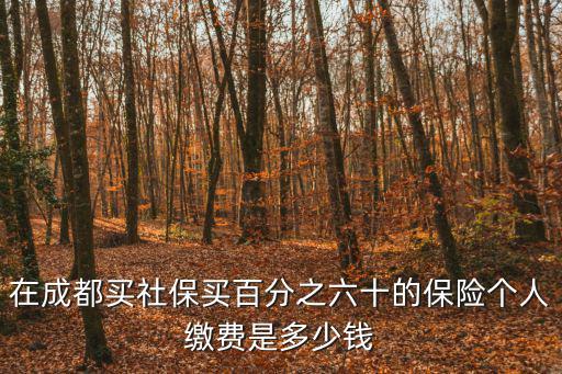 在成都買社保買百分之六十的保險個人繳費是多少錢