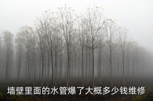 墻壁里面的水管爆了大概多少錢(qián)維修