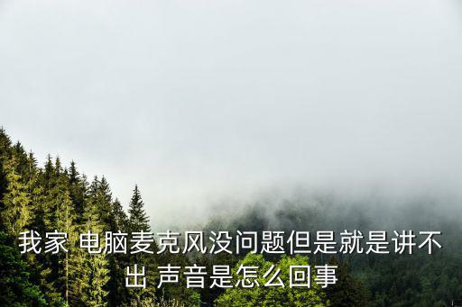 我家 電腦麥克風沒問題但是就是講不出 聲音是怎么回事