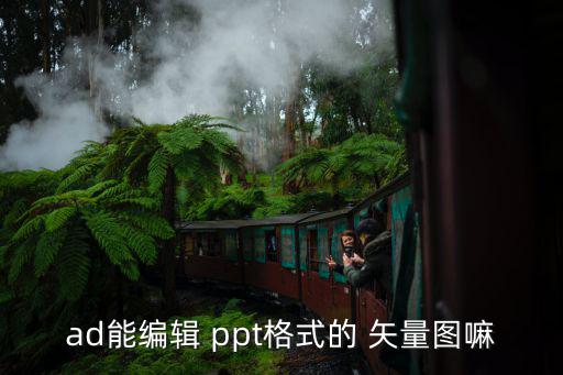 ad能編輯 ppt格式的 矢量圖嘛