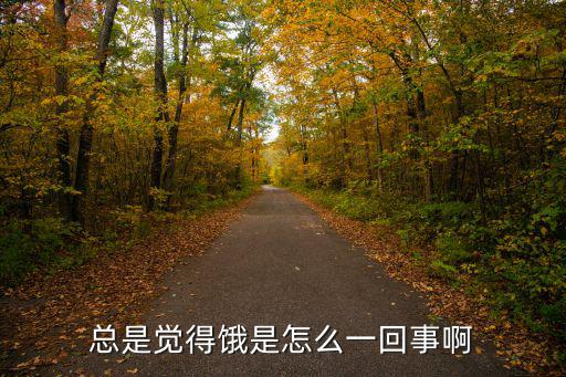 總是覺得餓是怎么一回事啊