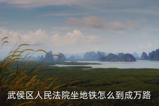 武侯區人民法院坐地鐵怎么到成萬路