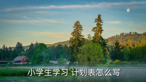  小學(xué)生學(xué)習(xí) 計劃表怎么寫
