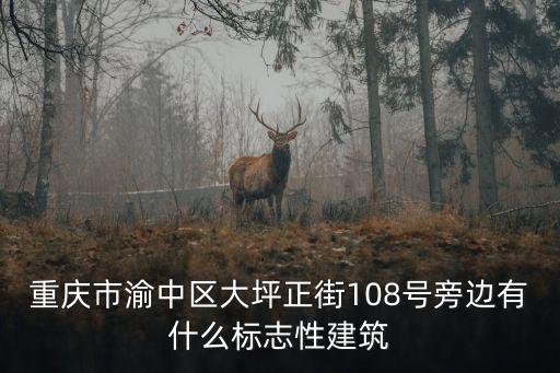 重慶市渝中區大坪正街108號旁邊有什么標志性建筑