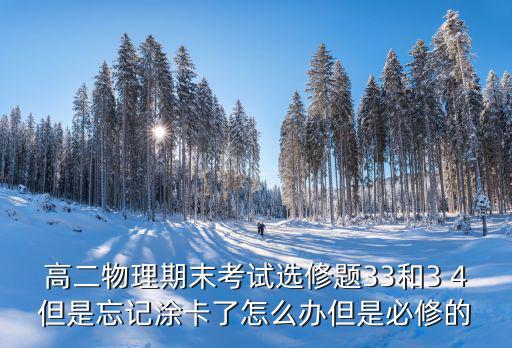 高二物理期末考試選修題33和3 4但是忘記涂卡了怎么辦但是必修的