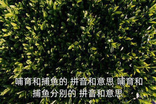 哺育拼音,哺乳動物與人類的關系