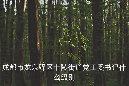 成都市龍泉驛區十陵街道黨工委書記什么級別