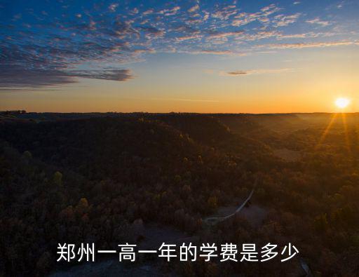 鄭州一高一年的學費是多少