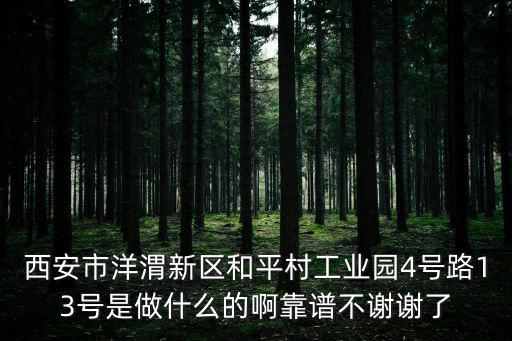 西安市洋渭新區和平村工業園4號路13號是做什么的啊靠譜不謝謝了