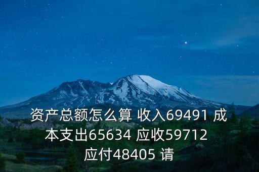 資產總額怎么算 收入69491 成本支出65634 應收59712 應付48405 請