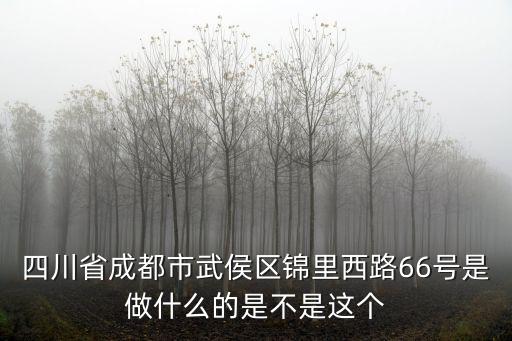 四川省成都市武侯區錦里西路66號是做什么的是不是這個