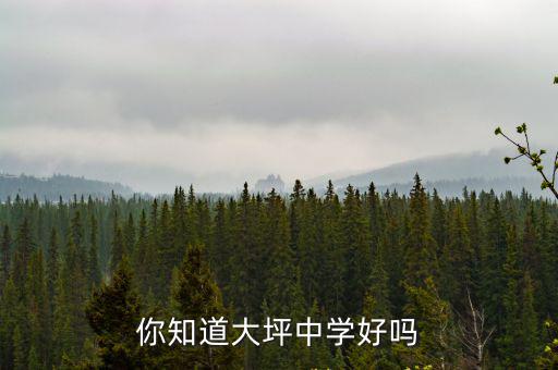 你知道大坪中學好嗎
