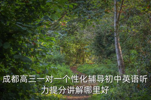 成都高三一對一個性化輔導初中英語聽力提分講解哪里好