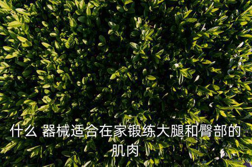 什么 器械適合在家鍛練大腿和臀部的肌肉