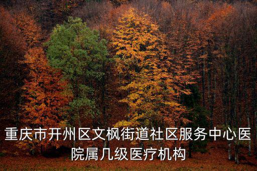 重慶市開州區嘉利華老總，重慶市開州區文楓街道社區服務中心醫院屬幾級醫療機構
