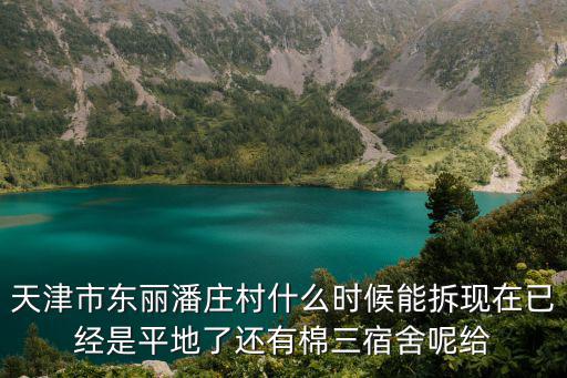 天津市東麗潘莊村什么時候能拆現在已經是平地了還有棉三宿舍呢給