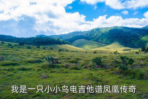 我是一只小小鳥電吉他譜鳳凰傳奇