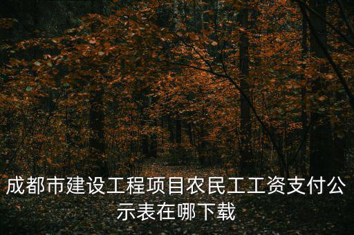 成都市建設工程項目農民工工資支付公示表在哪下載