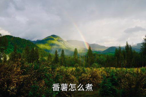 番薯怎么煮