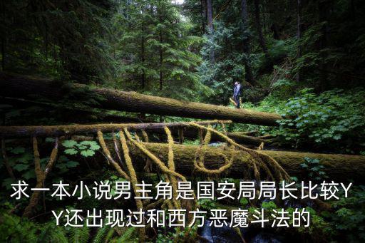 求一本小說男主角是國安局局長比較YY還出現過和西方惡魔斗法的