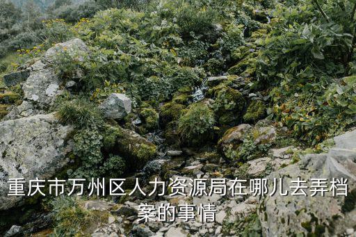 重慶市萬州區(qū)人力資源局在哪兒去弄檔案的事情
