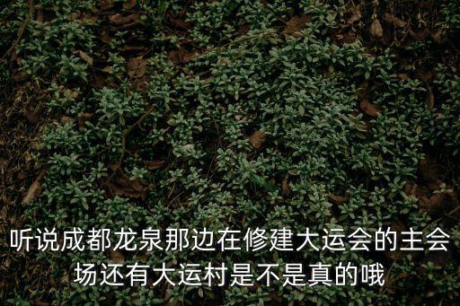 成都市大運村建設(shè)項目，聽說成都龍泉那邊在修建大運會的主會場還有大運村是不是真的哦
