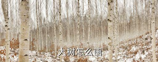  大樹怎么畫