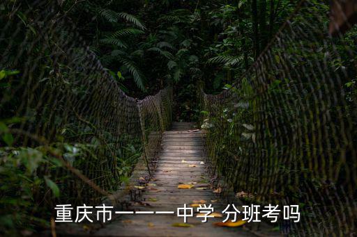 重慶市一一一中學 分班考嗎