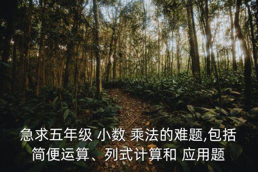 小數(shù)乘法應(yīng)用題,數(shù)學(xué)知多少（一）