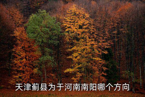 天津薊縣為于河南南陽哪個方向