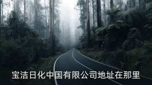 寶潔日化中國有限公司地址在那里