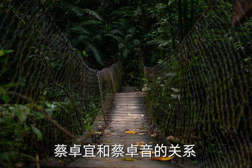 蔡卓宜和蔡卓音的關(guān)系