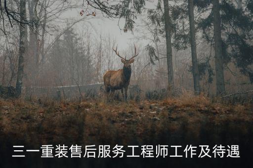 三一重裝售后服務工程師工作及待遇