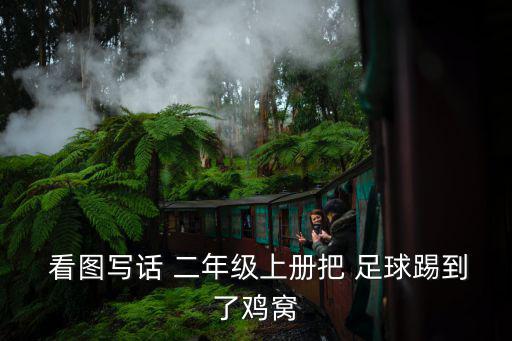 踢足球看圖寫話二年級(jí),踢球差點(diǎn)撞到母雞小雞可以原諒你!