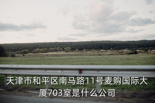 天津市和平區南馬路11號麥購國際大廈703室是什么公司