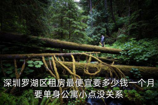 深圳羅湖區租房最便宜要多少錢一個月要單身公寓小點沒關系