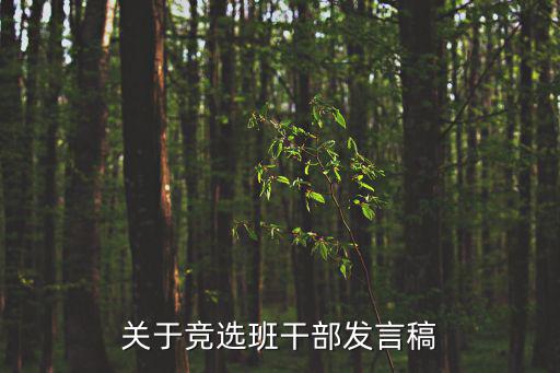 關(guān)于競(jìng)選班干部發(fā)言稿