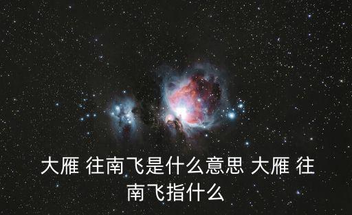 大雁往南飛,從北到南從東到西從南到北從繁殖到死到飛行